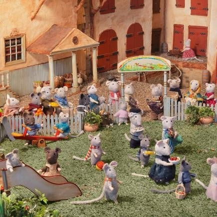 Het Muizenhuis Boek De Picknick 5