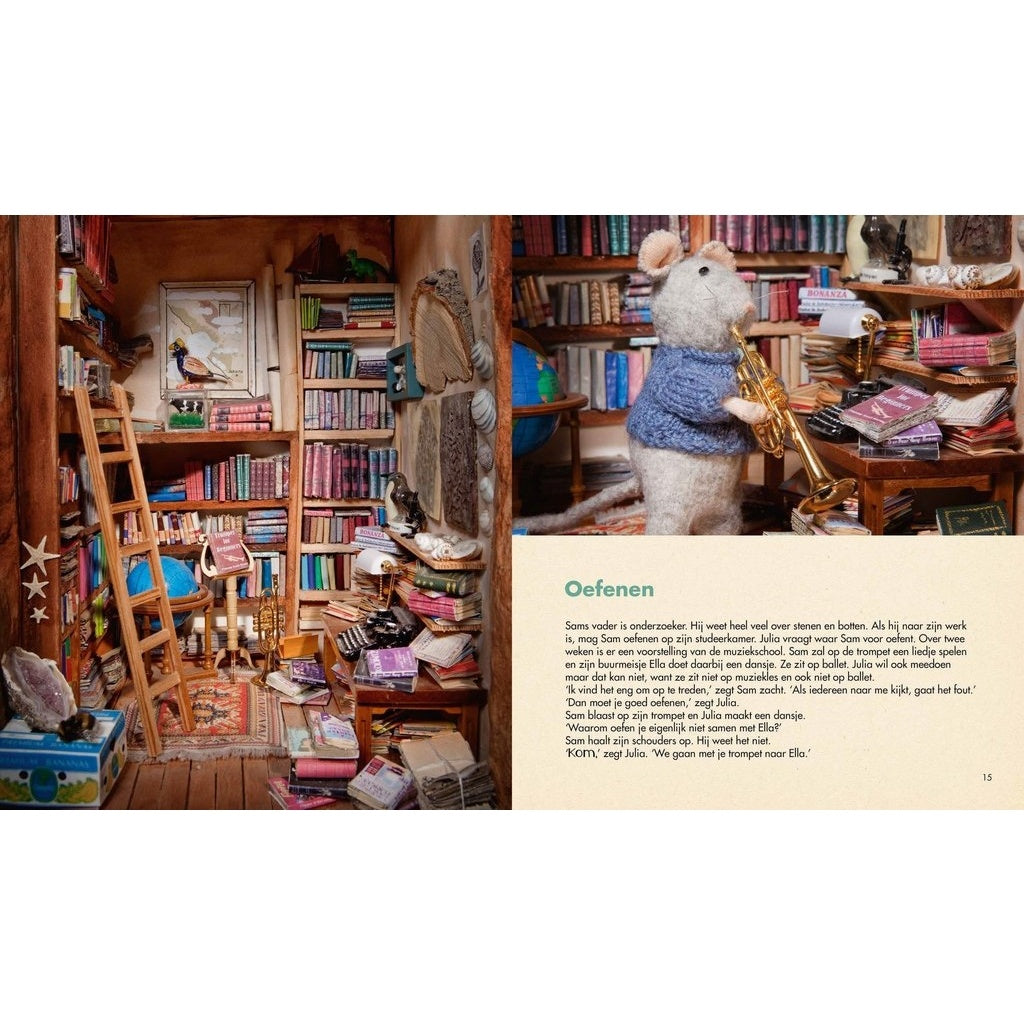 Het Muizenhuis Boek - Het Theater 3