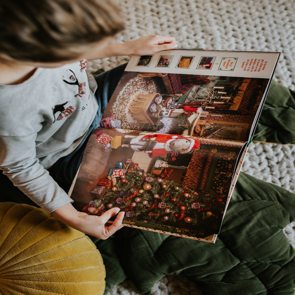 Het Muizenhuis Kerstmis Zoekboek 4