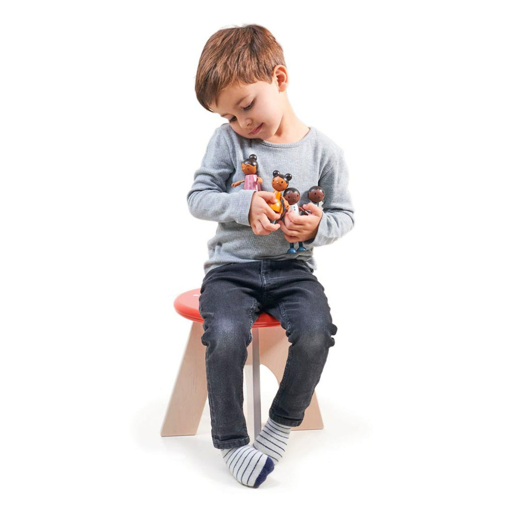 Tender Leaf Toys Poppenhuis Familie Humming Bird 1