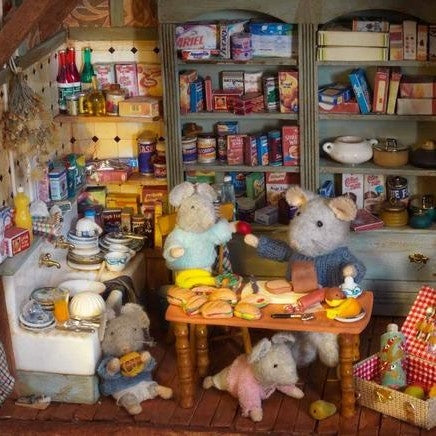 Het Muizenhuis Boek De Picknick 2